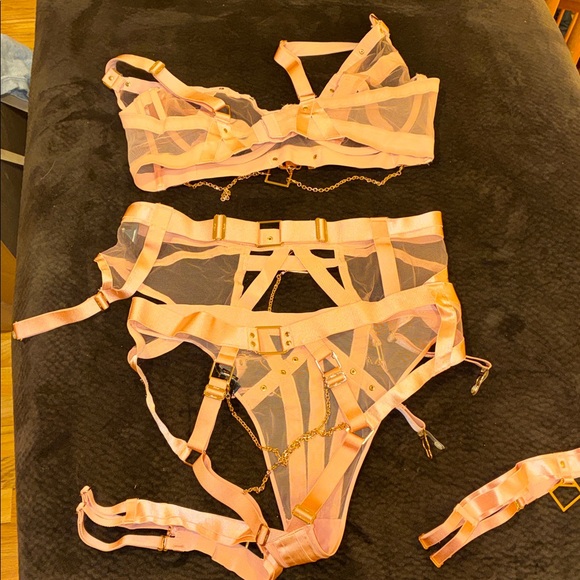 NEW Honey Birdette 40F Pink KUKURO SEXY Lingerie Set bra, garter, panties SET - Picture 4 of 9